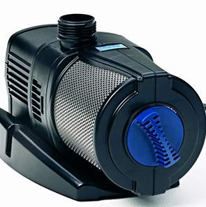 g3